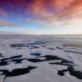 Arktik je „ozbiljno“ bolestan – njegov led može da nestane do septembra 2030. godine, upozoravaju naučnici