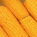 Deo kukuruza koji se najčešće baca ima brojne zdravstvene prednosti