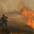 Gori srpska planina: Vatrena stihija zahvatila veliki deo zemljišta