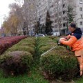 Редовно кошење, прање улица, тротоара и тргова