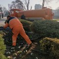 Današnje aktivnosti JKP „Mediana“ na uređenju zelenila i grada