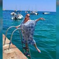 Naša glumica (76) napravila piruetu Poznatom kolegi rodila četvoro dece, a izgleda kao devojčica: Evo kako uživa na Mlati