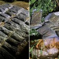 Velika zaplena u Obrenovcu: Policija na divljoj deponiji pronašla 30 kilograma marihuane