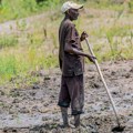 Farmer uz pomoć termita oživeo mrtvu zemlju u Africi