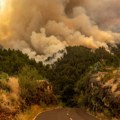 Veliki šumski požar na Kanarskim ostrvima, evakuisano više od 4.000 ljudi