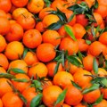 BIH zabranila uvoz dve tone mandarina iz Hrvatske zbog nedozvoljene količine pesticida