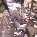Opšta bežanija - mile k'o mravi: Snimci iz Lastočkina (video)