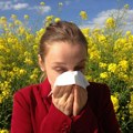 Alergičnima ovih dana teško Breza prednjači, ali tegobe stvaraju i ovi poleni