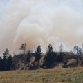 Požar na Durmitoru se širi, ugrožen biodiverzitet
