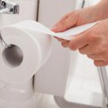 Čime su se ljudi brisali pre toalet papira? Ove metode su danas nezamislive! Kad vidite kako su se nekad dovijali pozliće vam