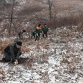 Pošumljavanje u selu Podrimce i na planini Kukavica