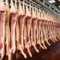 Dogovoreno otkupna cena svinjetine: Stočari podvukli liniju, ispod ovog iznosa nema isplativosti