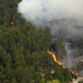 Pirinejsko poluostrvo u plamenu! Stravični požari pustoše Španiju i Portugal! (Foto/video)