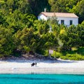 Tirkizna voda i poneki grok: Jedinstvena plaža u Grčkoj na kojoj se možete kupati sa svinjama (VIDEO)