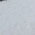 Šok u Beogradskoj! Gejzir piva izvire iz ulice: sve se zabelelo od pene!