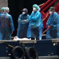 Pogoršanje zdravstvenog stanja Francuskinje testirane pozitivno na hantavirus