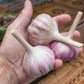 Kako da uklonite miris belog luka sa šaka: Majstori kulinarstva uvek koriste ovaj trik, radi bez greške