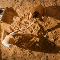 Zaboravljena kost stajala 40 godina u fioci, ispostavilo se da pripada dinosaurusu