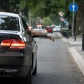 Jedna loša navika vozača može da izazove katastrofalne požare