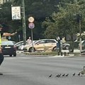 Fotka dana dolazi iz Sarajeva: Policajac zaustavio saobraćaj da prođu patka i pačići