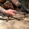 Ovo ne može svako: Hrvatski avanturista otišao u kanjon Cetine kako bi uhvatio najotrovniju zmiju Evrope (video)