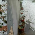 Majske nepogode sve uništile Poljoprivrednici u Šumadiji se hvataju za glavu; Sve je uništeno, ovo je užas!