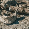 Arheolozi u Gruziji pronašli ljudsku vilicu staru 1,8 miliona godina
