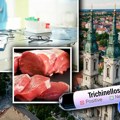 Veterinar iz Pančeva za Telegraf otkriva: Evo kako je zaraženo meso trihinelom dospelo do 18 građana Srbije