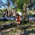 Sadnja sezonskog cveća i uređenje zelenih površina nastavljeni širom Niša
