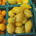 Odakle je stigao „veliki“ limun u Maksiju