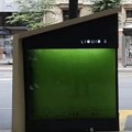 Neobična zelena instalacija privlači pažnju celog sveta za 9 dana pogledalo ga je 10 miliona ljudi (video)