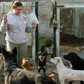 Psi, mačke, konji Andrea iz Sombora pruža ljubav životinjama, ima ih preko 40, ali uskoro svi mogu završiti na ulici…