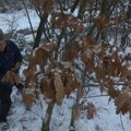 Badnji dan u Mitrovici i zvečanu: Miljan uranio kao pravi domaćin: Idemo po badnjak, da osvetlimo naš srpski običaj, da ga…