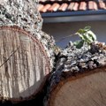 Poskupeli i pelet i drva za ogrev