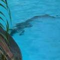 Šok u luksuznom hotelu! Ljudi u neverici zbog onog što vide u bazenu - nisu znali šta ih je snašlo: Nakon ove scene, nadležne…