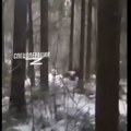 Rusi i Ukrajinci zapevali poznatu ljubavnu pesmu: Šok na frontu: Vojnici spustili oružje za praznike! (video)
