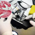Kako izgleda muški polni organ pod mikroskopom? Doktor pokazao presek, sastoji se od 3 dela