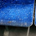 U sekundi 1.000 misli, svaka pogrešna vodi ka golgoti: Kako u trenu odabrati mesto u busu (samo bez bahaćenja)