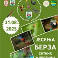 Jesenja berza sitnih životinja u Sremskoj Mitrovici 31. avgusta