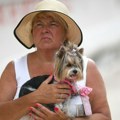 Mona (85) podigla celu zemlju na noge zbog poslednje želje supruga da pronađe sina - zove se Marko ili Mihajlo, napravljen je…