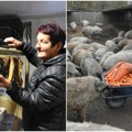 Na farmi Save Graorca biće malo drugačiji svinjokolj. Meso bele mangulice u specijalitetima iz Kovilja
