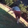 Bosa šetala po dvorištu, a onda je iz rupe izletela zmija otrovnica i omotala joj se oko noge: Snimak iz Australije ledi krv u…