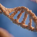Geni otporni na antibiotike pronađeni u okeanima širom sveta