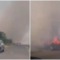 Bukte požari u Sremu: Vatra guta hektare kod Kupinova, sve raspoložive vatrogasne snage na terenu (video)
