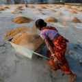 Indija zabranila izvoz riže, moguća nova nestabilnost na tržištu hrane