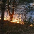 Požar kod Ploča u Hrvatskoj, gori gusta borova šuma