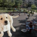 "Zaista više nije normalno"! Devojku u Srbiji komšija zamolio da ne izvodi psa u parkić