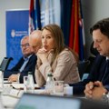 Pripreme za izgradnju gasne elektrane u Nišu: Završetak projekta planiran do kraja 2030. godine