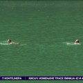 Ledinačko jezero puno kupača - na sopstveni rizik