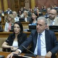 Marinika Tepić: Tražimo parlamentarne izbore na koje ne bismo izašli